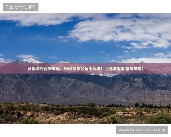 体育玩球泛体育平台对比避坑指南